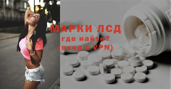 spice Снежногорск
