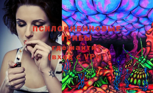 PSILOCYBIN Алексин
