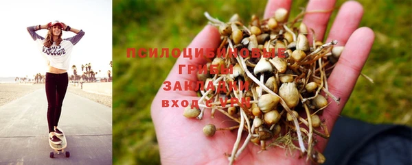 PSILOCYBIN Алексин