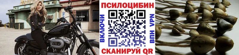 Галлюциногенные грибы прущие грибы  kraken зеркало  Зуевка 
