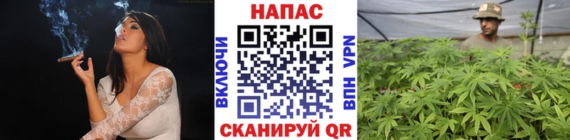 Марихуана индика  Зуевка 